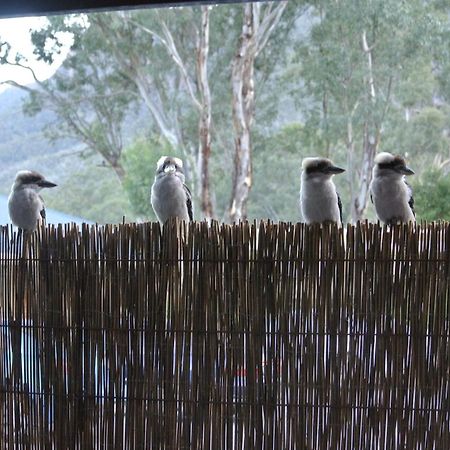 הלס גאפ Kookaburra Motor Lodge מראה חיצוני תמונה